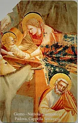 Natale '91 - Giotto