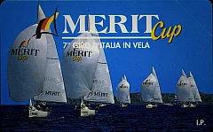 Merit Cup