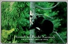 Animali Nei Parchi Nazionali - Orso