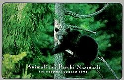 Animali Nei Parchi Nazionali - Orso