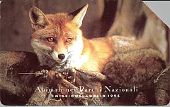 Animali Nei Parchi Nazionali - Volpe