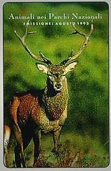Animali Nei Parchi Nazionali - Cervo