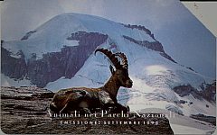 Animali Nei Parchi Nazionali - Stambecco