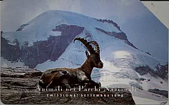 Animali Nei Parchi Nazionali - Stambecco