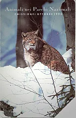Animali Nei Parchi Nazionali - Lince