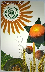 World Food Summit