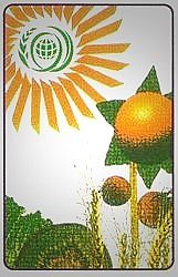 World Food Summit