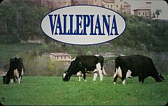 Vallepiana
