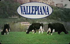 Vallepiana
