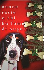 Buone Feste A Chi Ha Fame Di Auguri