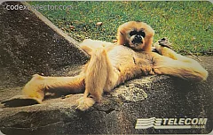 Animali per modo di dire - La Scimmia (L. 15.000)