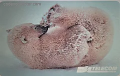 Animali per modo di dire - L'orso (L. 5.000)