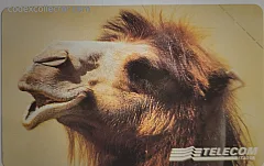 Animali per modo di dire - Il Cammello (L. 5.000)