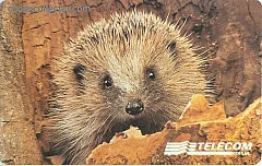 Animali per modo di dire - Il Riccio (L. 15.000)