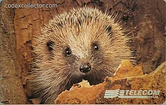 Animali per modo di dire - Il Riccio (L. 15.000)