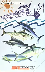 Campionato Mondiale Di Pesca D'Altura