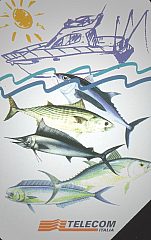 Campionato Mondiale Di Pesca D'Altura