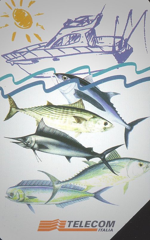 Campionato Mondiale Di Pesca D'Altura