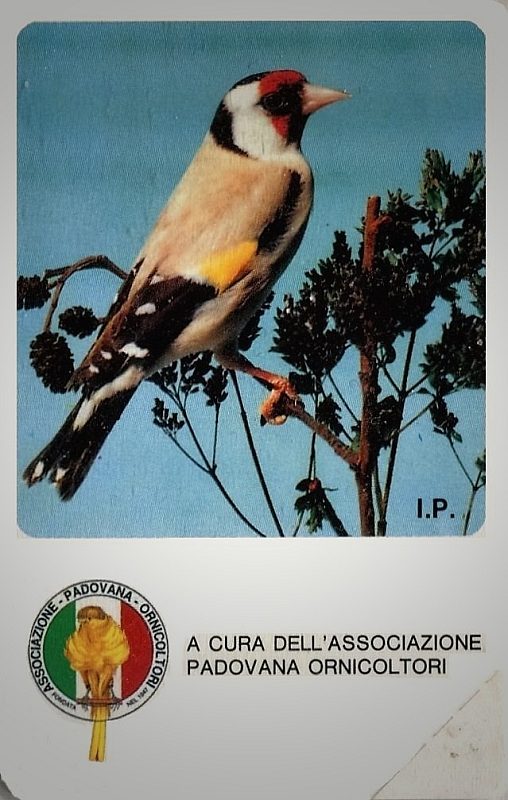 Società Ornitologica (Padova)