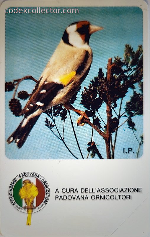 Società Ornitologica (Padova)