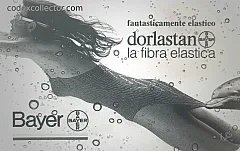 Dorlastan Bayer - Donna