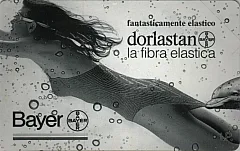 Dorlastan Bayer - Donna