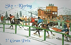 3° Gran Premio - Sky Kjoring