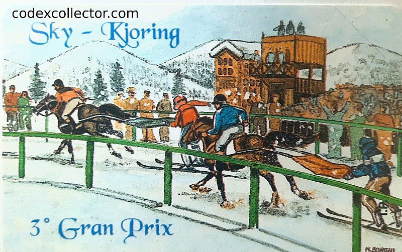 3° Gran Premio - Sky Kjoring