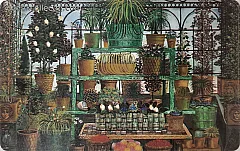 Arte Contemporanea - Caruso