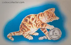 C.F.N. - Cat