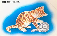 C.F.N. - Cat