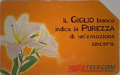 Messaggi Floreali - Giglio