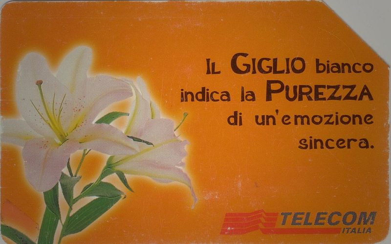 Messaggi Floreali - Giglio
