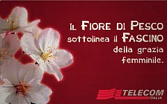 Messaggi Floreali - Fiore Di Pesco