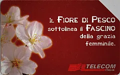 Messaggi Floreali - Fiore Di Pesco