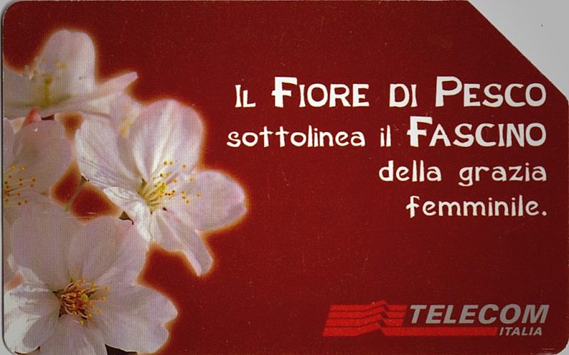 Messaggi Floreali - Fiore Di Pesco