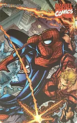 Heroes & Villains - Uomo Ragno