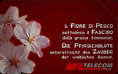 Messaggi Floreali - Fiore di Pesco