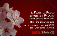 Messaggi Floreali - Fiore di Pesco