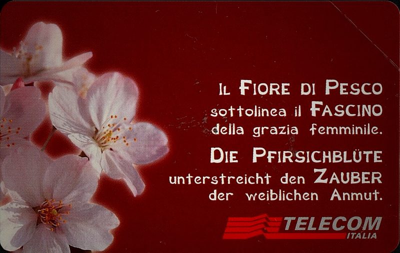 Messaggi Floreali - Fiore di Pesco