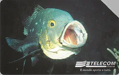 Animali per modo di dire - Il Pesce