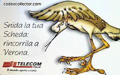 93° Veronafil 2000
