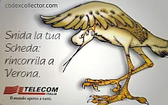 93° Veronafil 2000