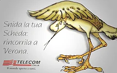 93° Veronafil 2000