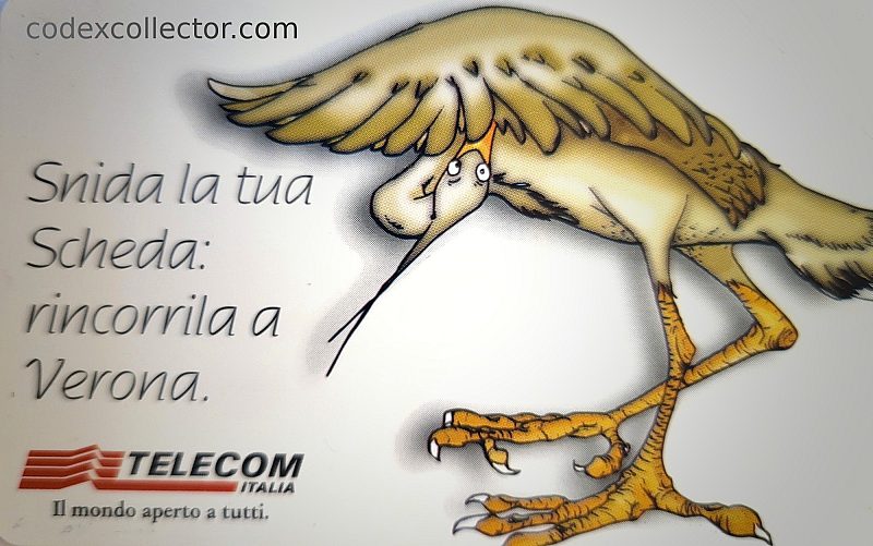 93° Veronafil 2000