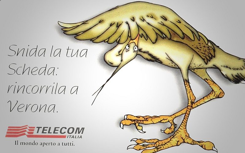 93° Veronafil 2000