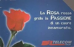 Messaggi Floreali - Rosa