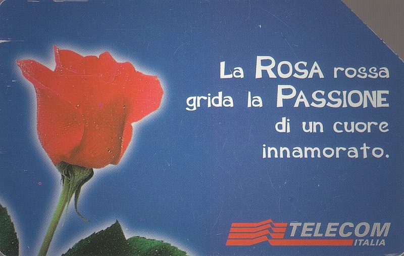 Messaggi Floreali - Rosa
