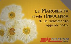 Messaggi Floreali - Margherita