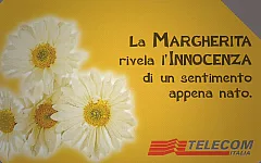 Messaggi Floreali - Margherita